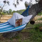 Malama Sikiá