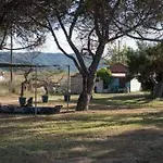 Malama * Sikiá